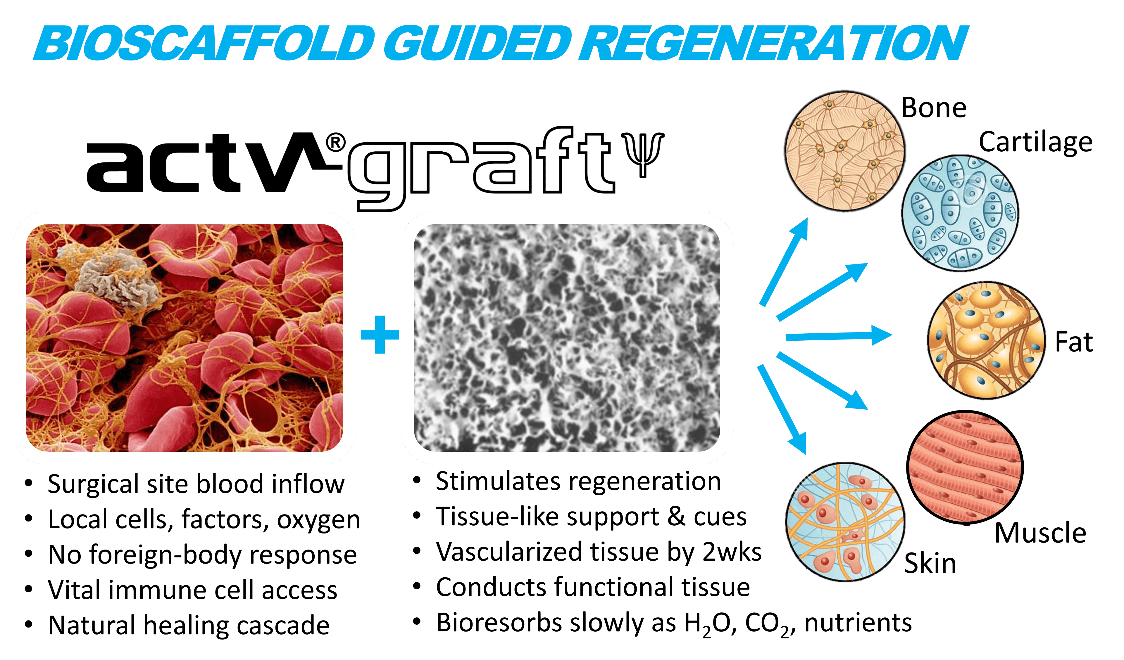 Restoring Tissue Form & Function
